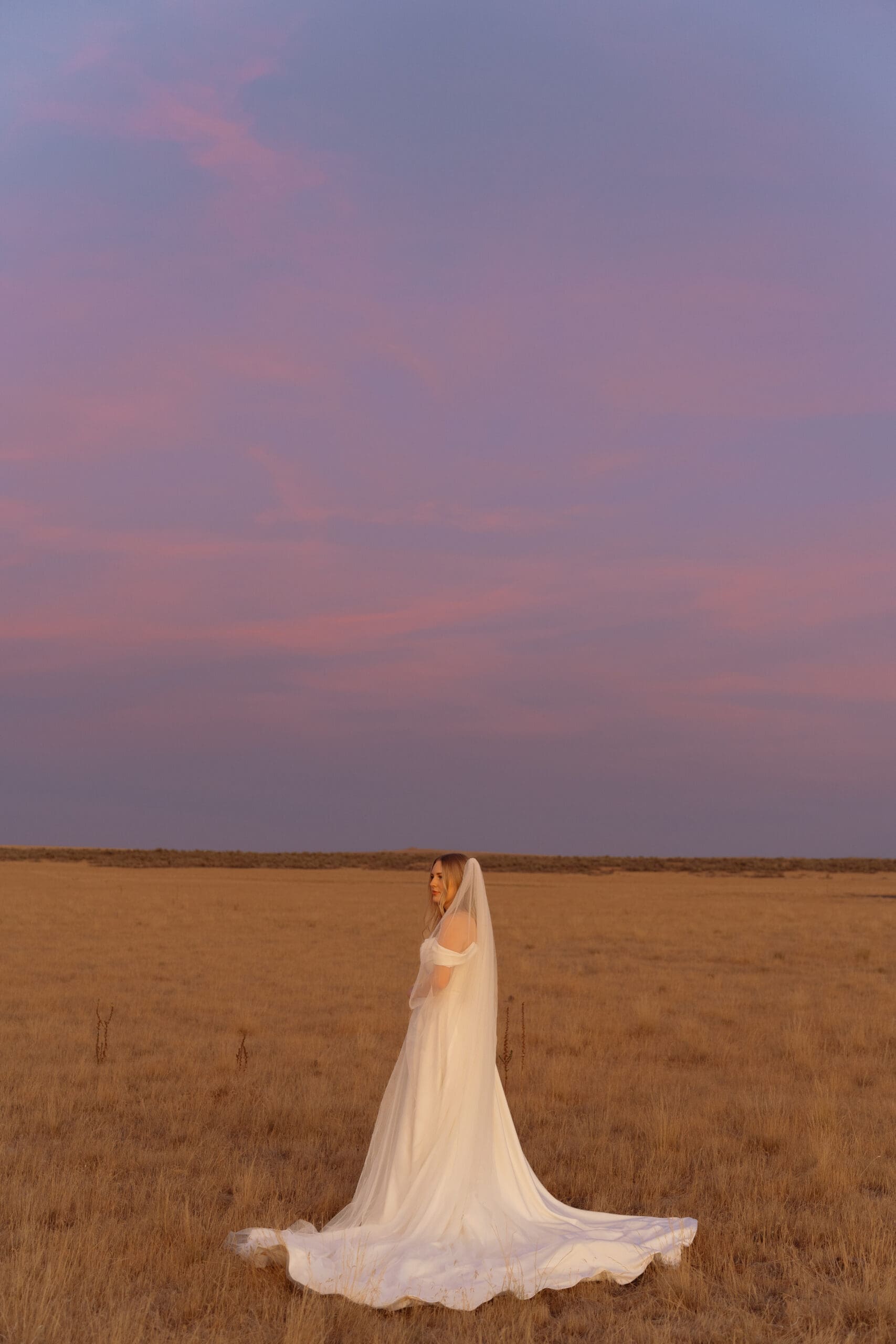 utah bridals antelope island